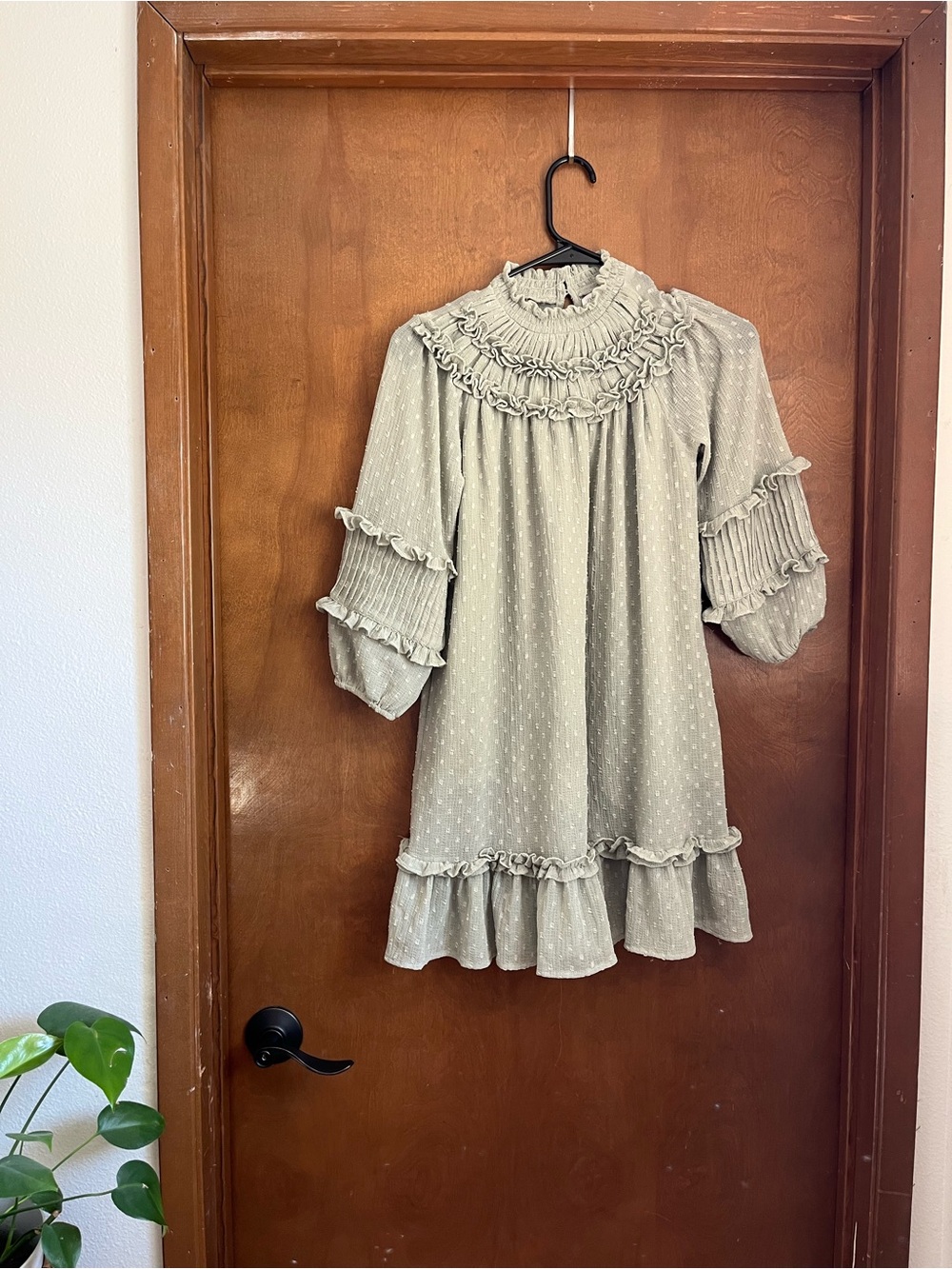 Zara Girls Ruffled High-Neck Swiss Dot Kids Dress in Sage